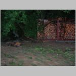 20060807032.JPG