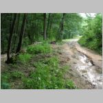 20060808005.JPG