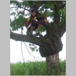 20080607007.jpg