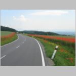 20080607011.jpg