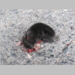 20080607014.jpg
