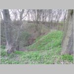 20110416046.jpg