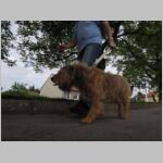 20140524074.jpg