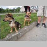 20140524076.jpg