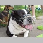 20140524105.jpg