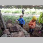 20161015039.JPG
