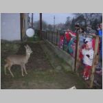 20061224009.jpg