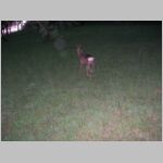 20070423005.jpg