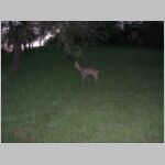 20070423006.jpg