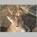 20080405023.jpg