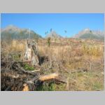 20061027014_tatry.JPG
