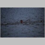 20100717078_rv.jpg