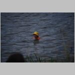 20100717079_rv.jpg