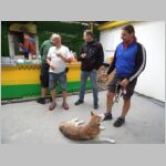 20170715177.JPG