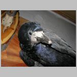20051224039.JPG