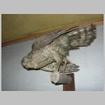 20051224040.JPG