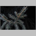 20071224011_uvd.jpg