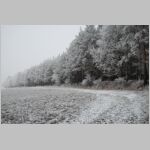 20071224011_uvea.jpg