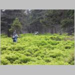 20110603032.jpg