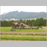 20110604030.jpg