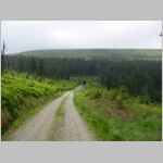 20110603061_lk.jpg