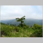 20110603144_lk.jpg