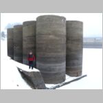 20090118080.jpg