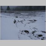 20090118090.jpg