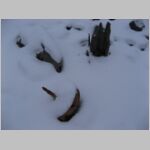 20090118092.jpg