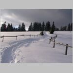20051104_Visalaje020_DSCN3590a.JPG