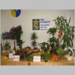 20080921006_zp.jpg