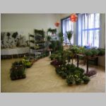 20080921033_ab.jpg