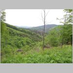 20150522028.JPG