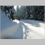 20060122061.JPG