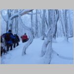 20060122128.JPG