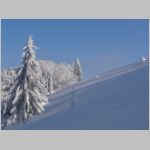 20060122176.JPG