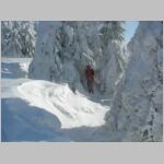 20060122203.JPG